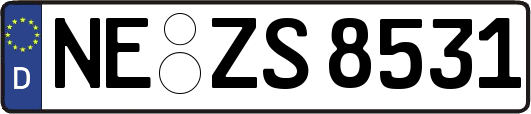 NE-ZS8531