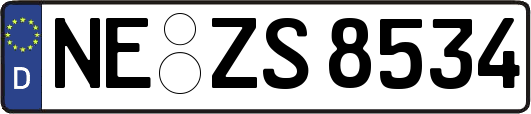 NE-ZS8534