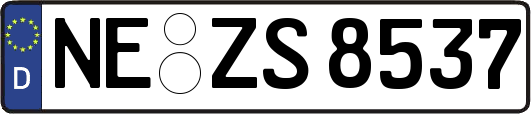 NE-ZS8537