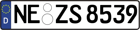 NE-ZS8539