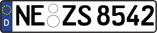 NE-ZS8542