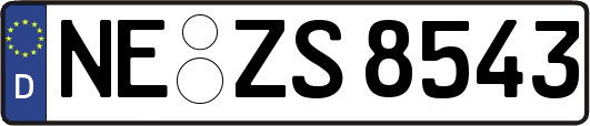 NE-ZS8543