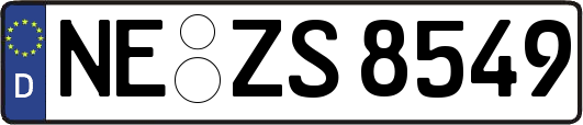 NE-ZS8549