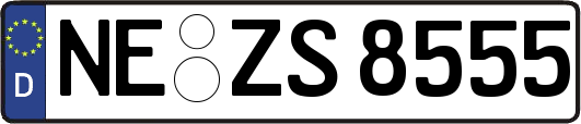 NE-ZS8555