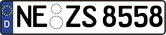NE-ZS8558