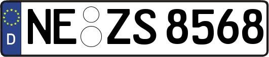 NE-ZS8568