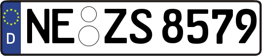 NE-ZS8579