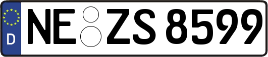 NE-ZS8599