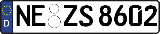 NE-ZS8602