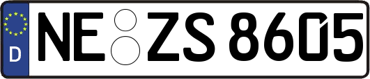 NE-ZS8605