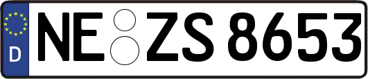 NE-ZS8653