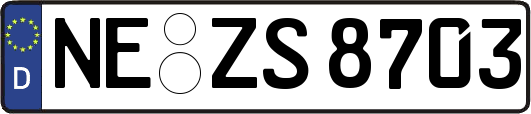 NE-ZS8703