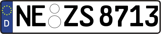 NE-ZS8713