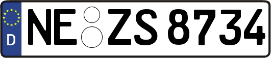 NE-ZS8734
