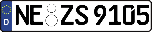 NE-ZS9105