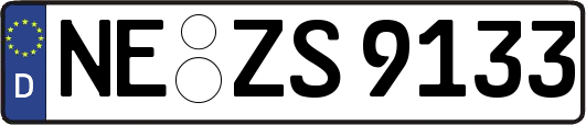 NE-ZS9133