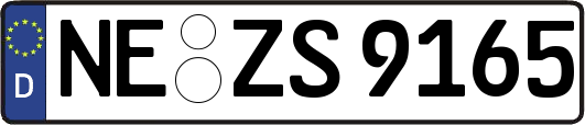 NE-ZS9165