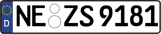 NE-ZS9181