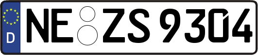 NE-ZS9304