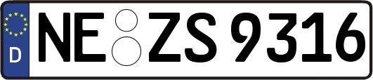 NE-ZS9316