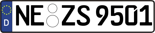 NE-ZS9501