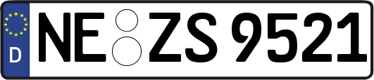 NE-ZS9521