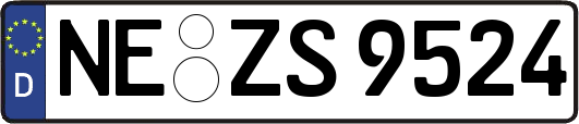 NE-ZS9524