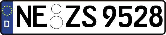 NE-ZS9528