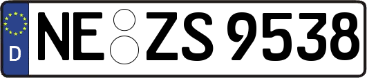 NE-ZS9538