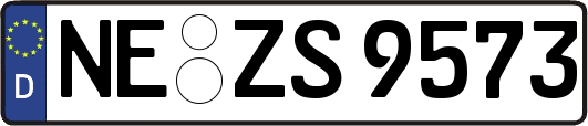 NE-ZS9573
