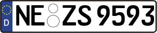 NE-ZS9593