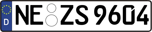NE-ZS9604