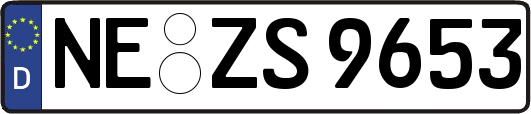 NE-ZS9653