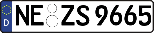 NE-ZS9665