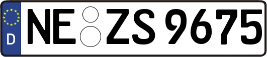 NE-ZS9675