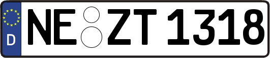 NE-ZT1318