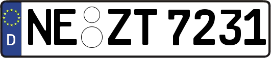 NE-ZT7231