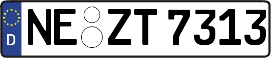 NE-ZT7313