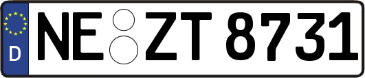 NE-ZT8731