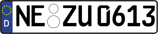NE-ZU0613