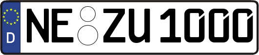 NE-ZU1000
