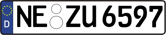 NE-ZU6597