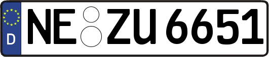 NE-ZU6651