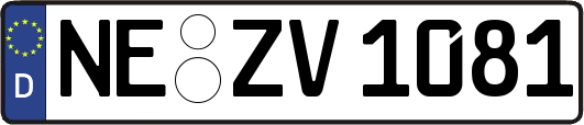 NE-ZV1081