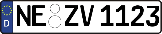 NE-ZV1123