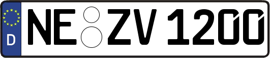 NE-ZV1200