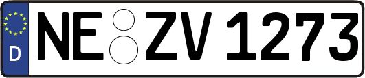 NE-ZV1273