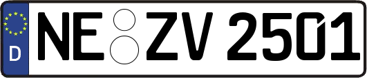 NE-ZV2501