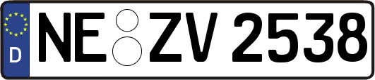 NE-ZV2538