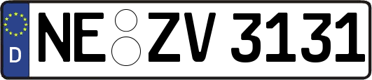 NE-ZV3131